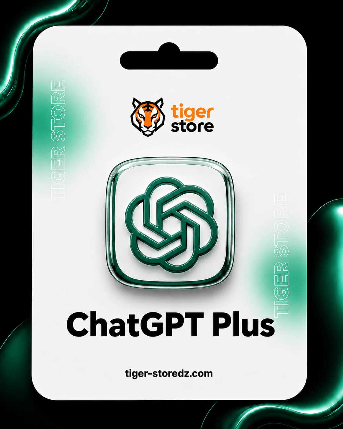 ChatGPT Plus — صورة المنتج